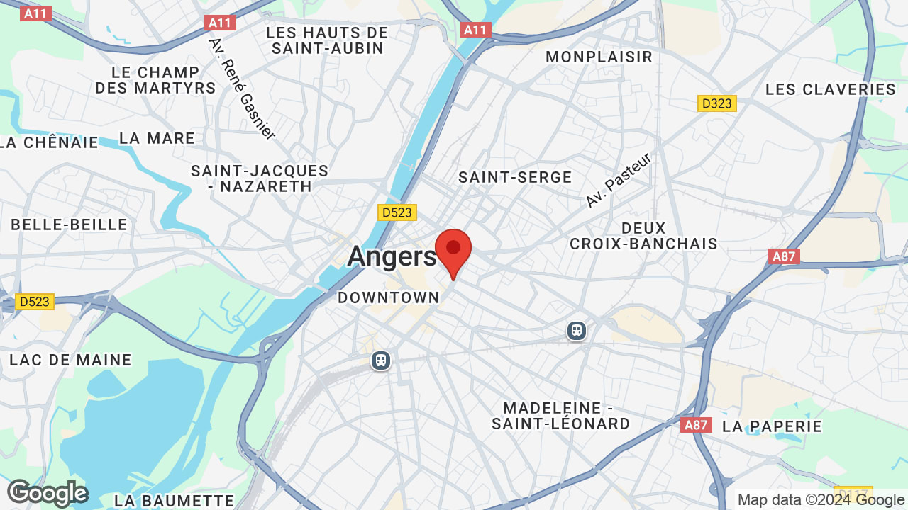 Google map
