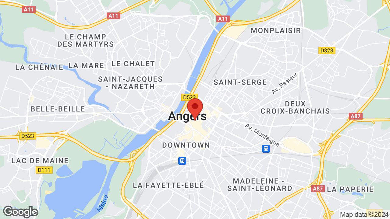Google map