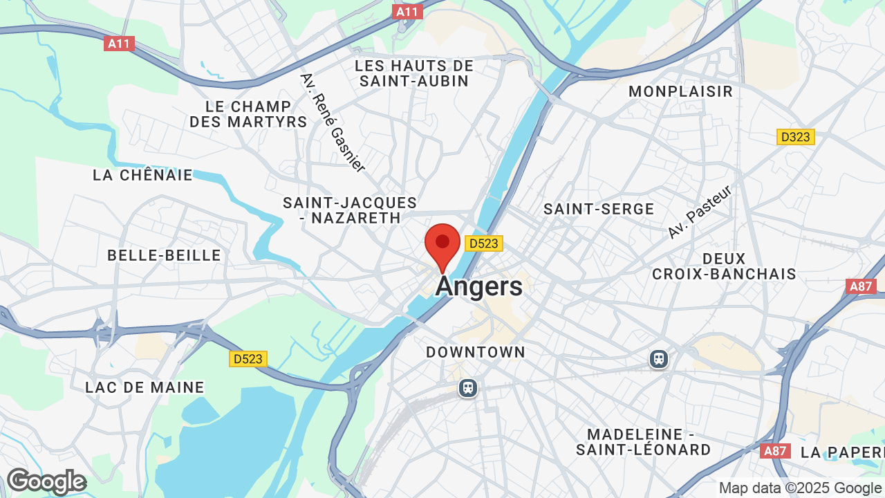 Google map