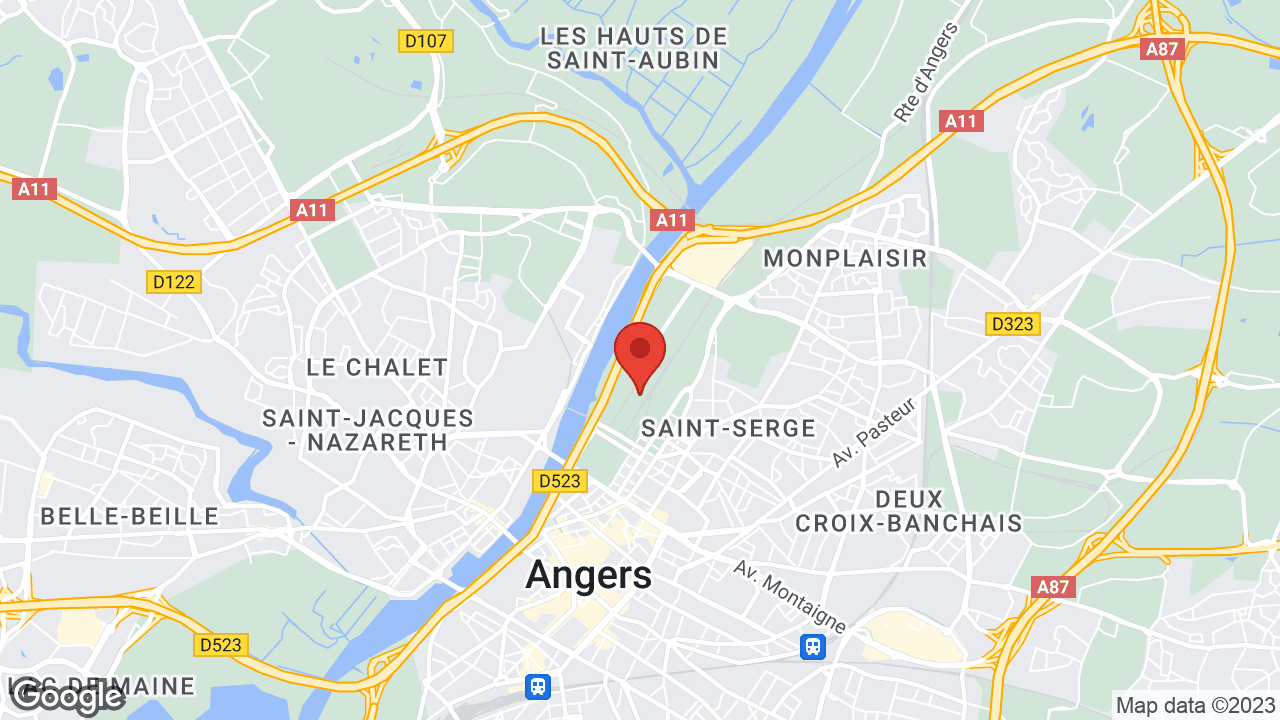 Google map