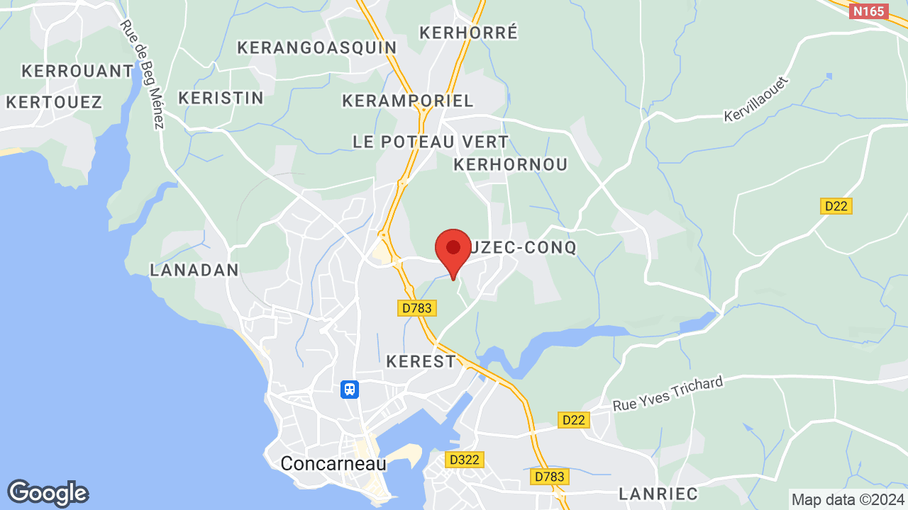 Google map