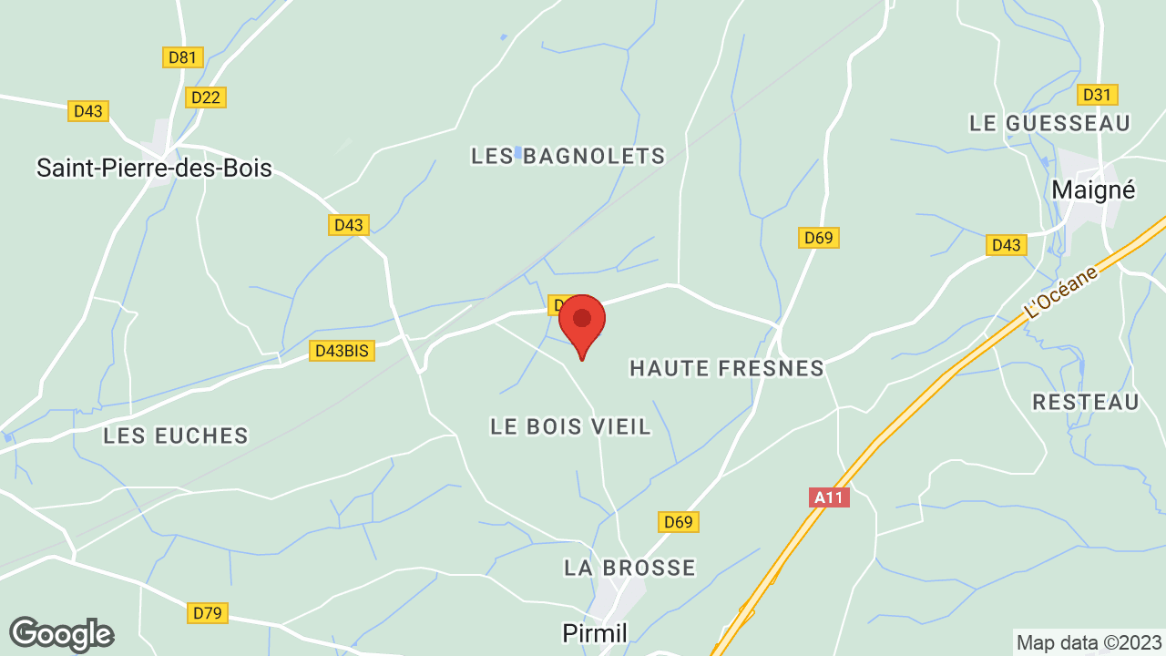 Google map