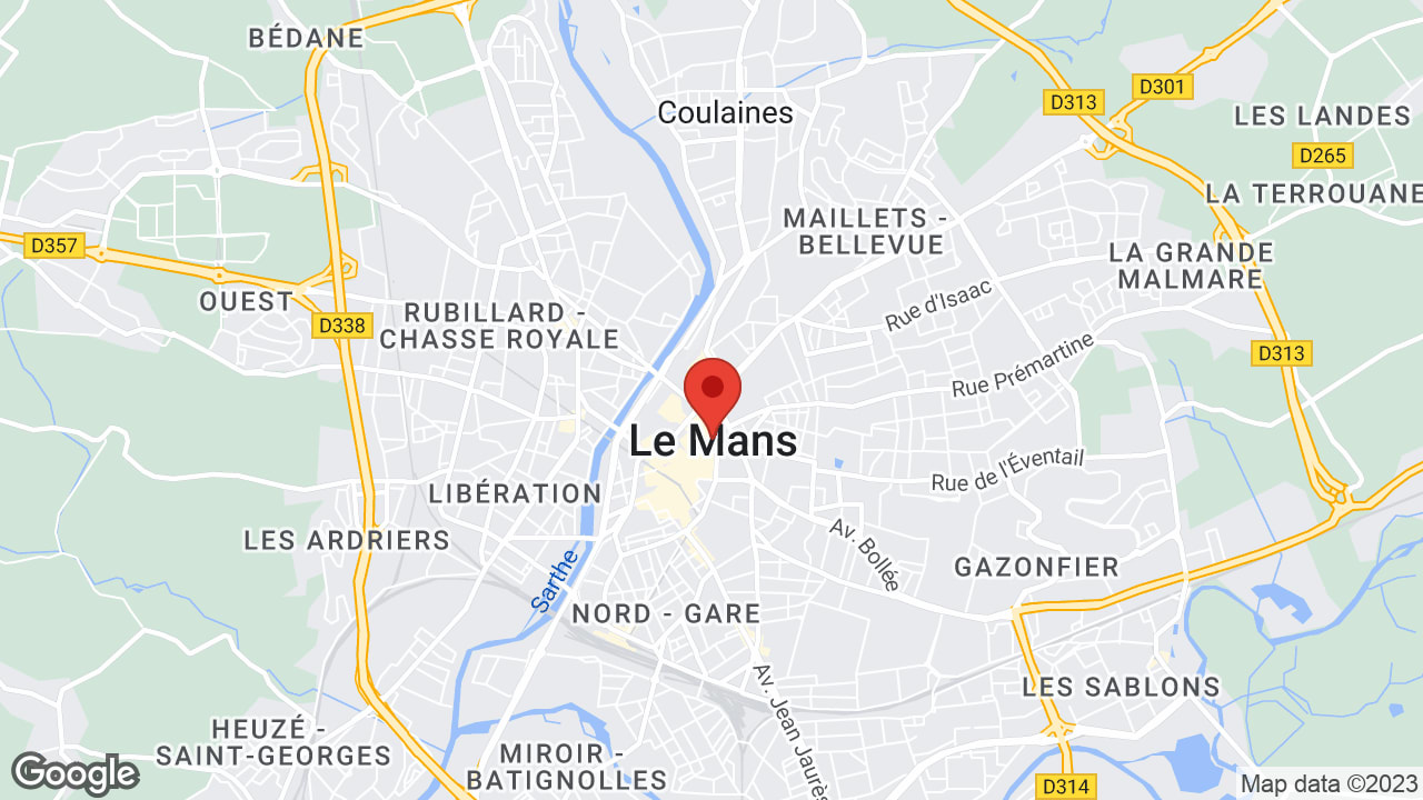 Google map