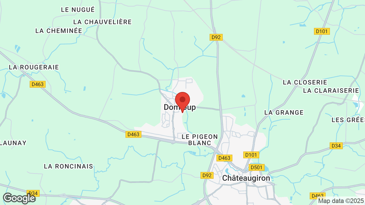 Google map