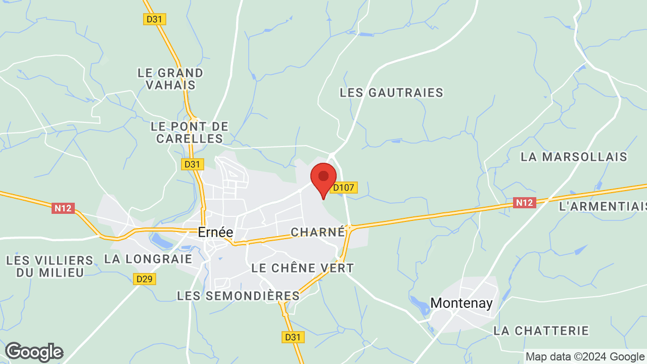 Google map