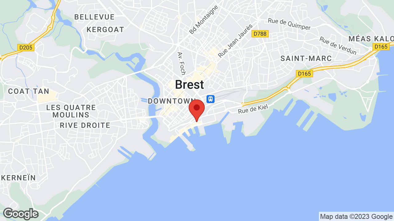 Google map