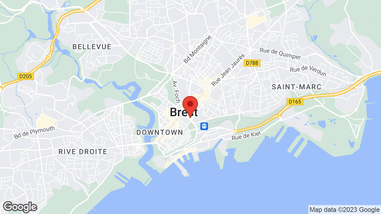 Google map