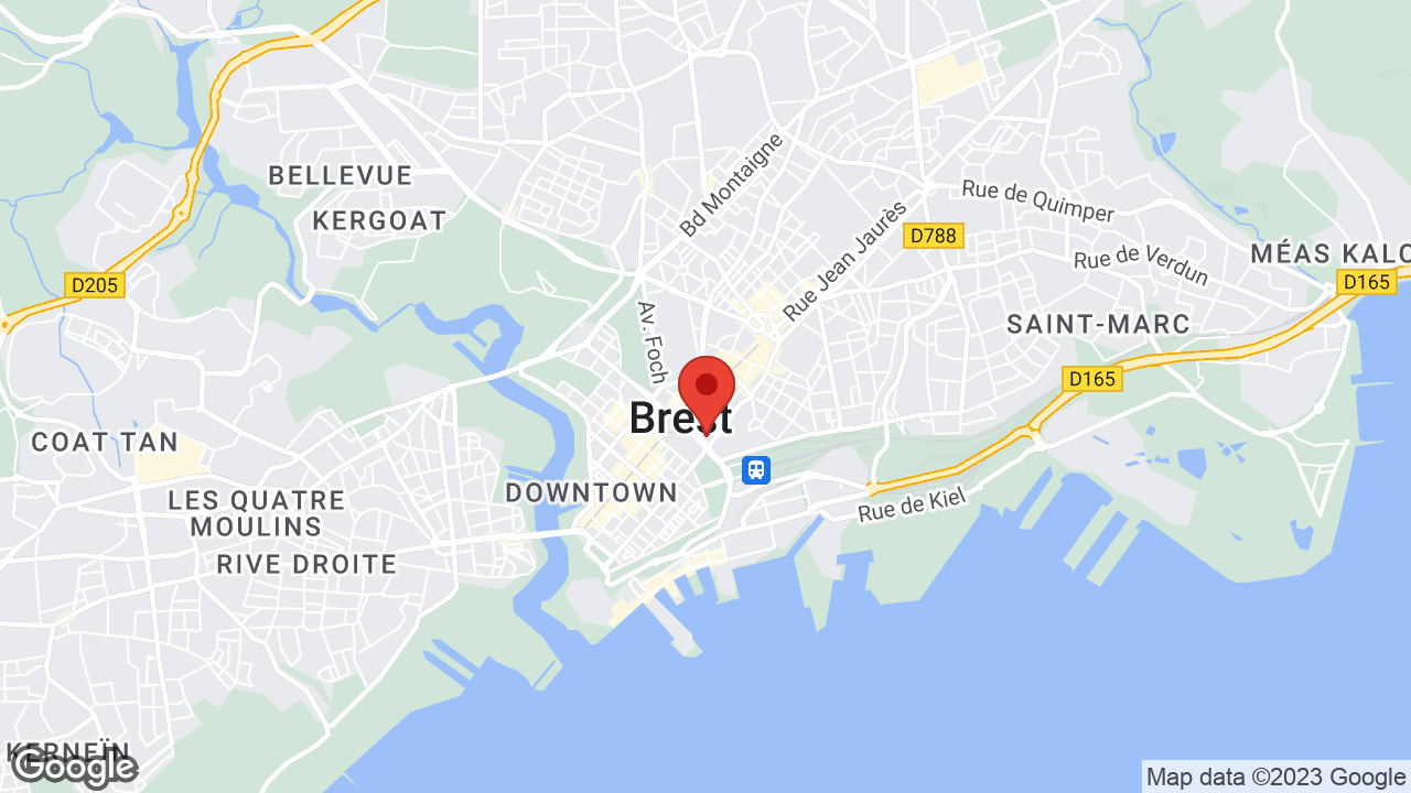 Google map