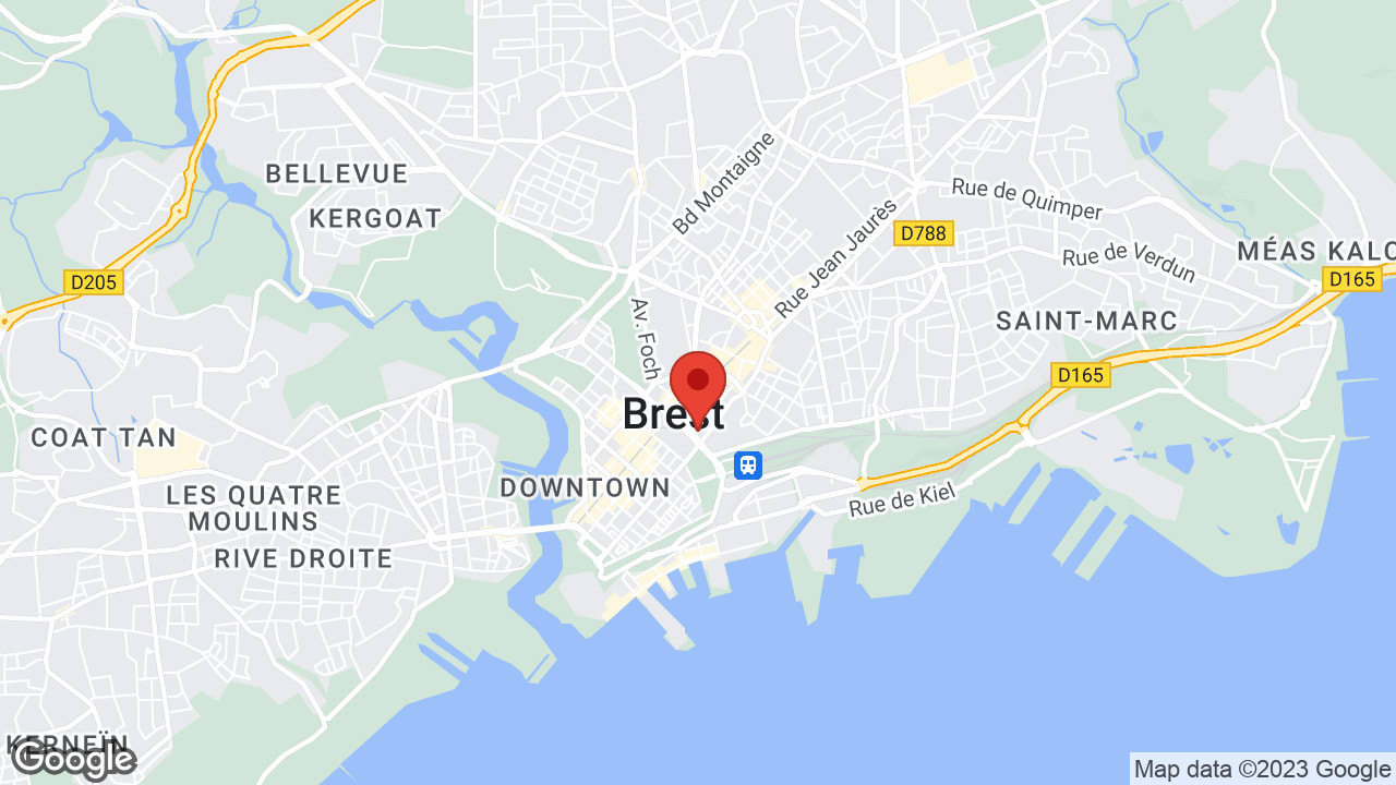 Google map