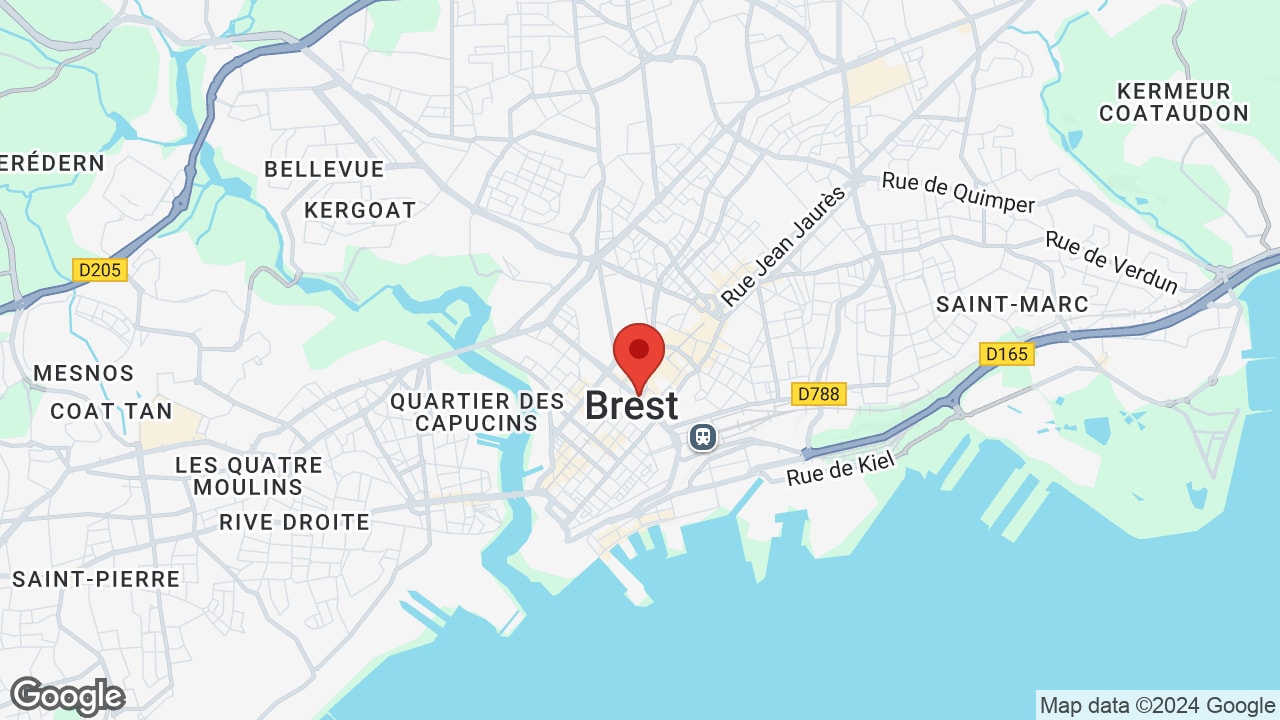 Google map