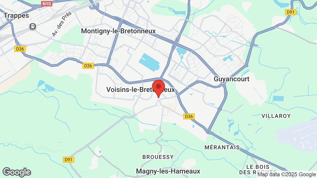 Google map