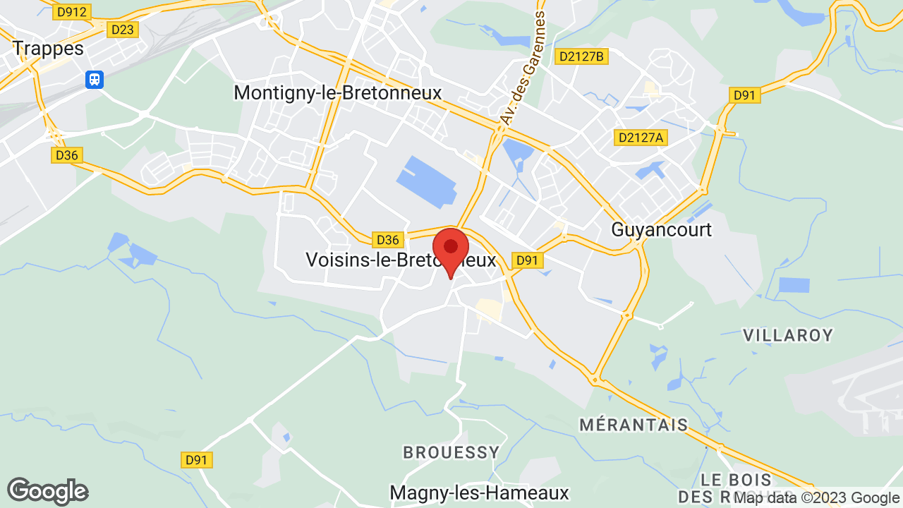 Google map
