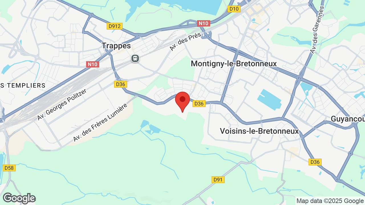 Google map