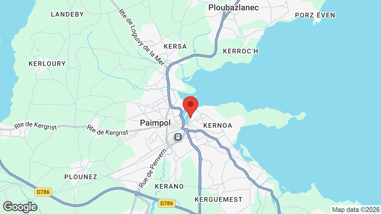 Google map