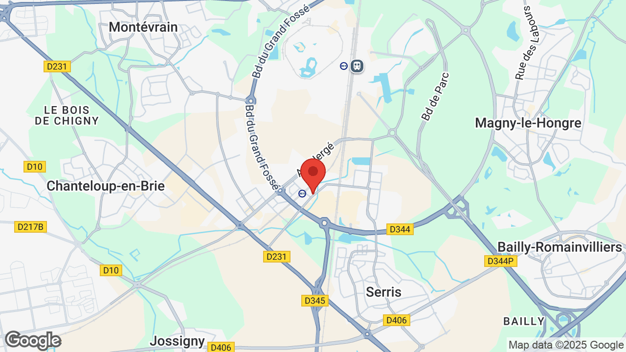 Google map