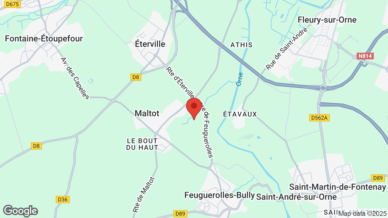 Google map