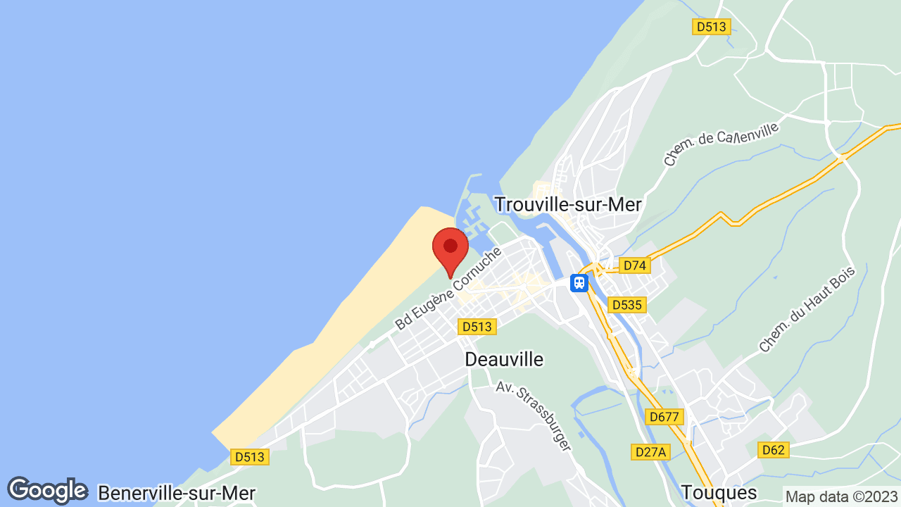 Google map
