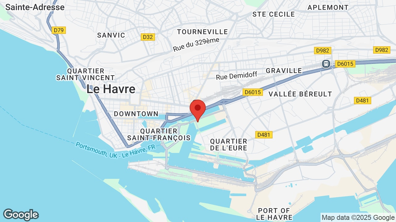 Google map