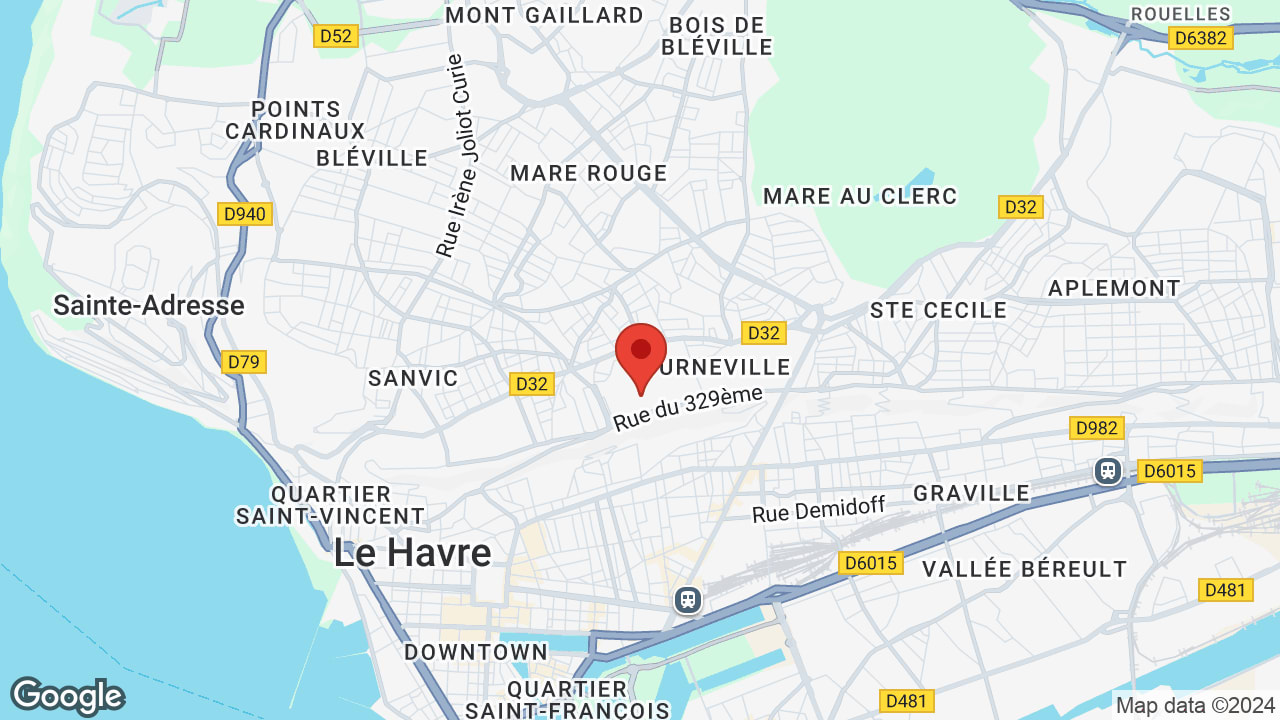 Google map