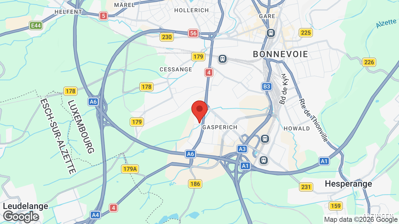 Google map