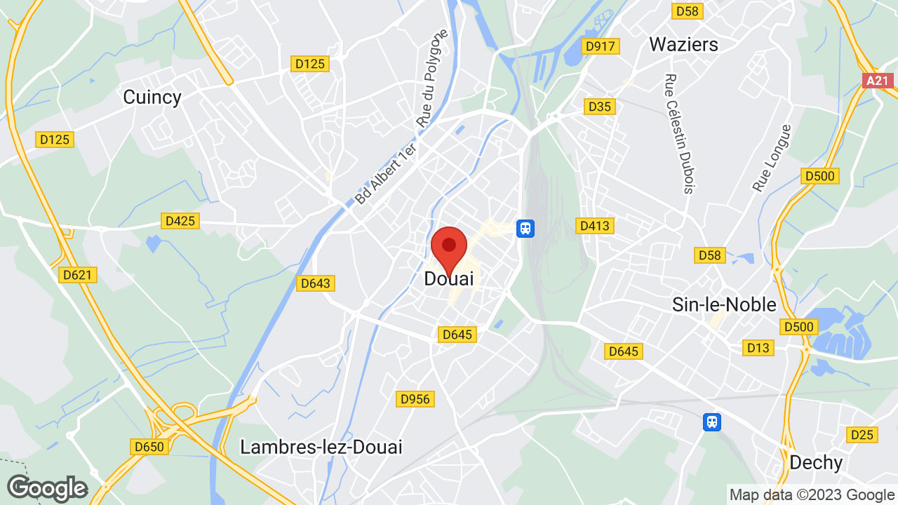 Google map