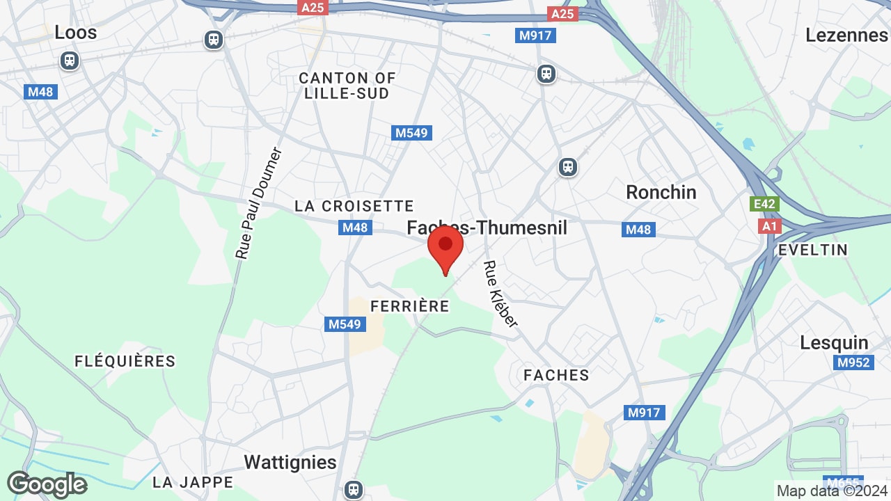 Google map