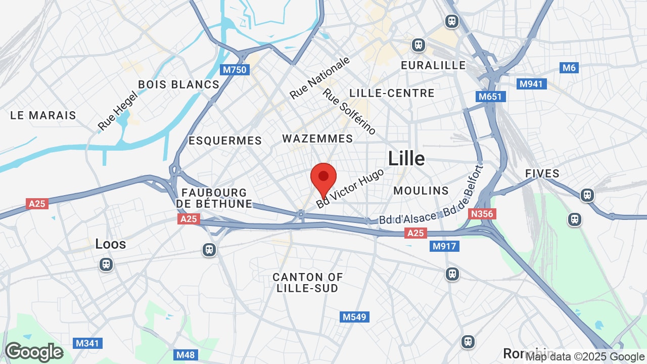 Google map