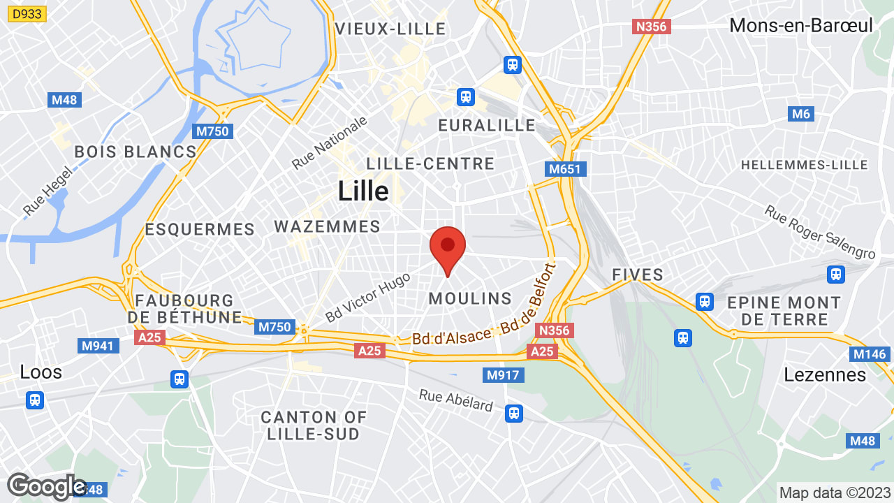 Google map