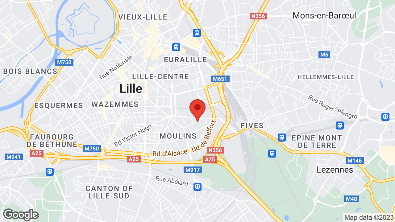 Google map