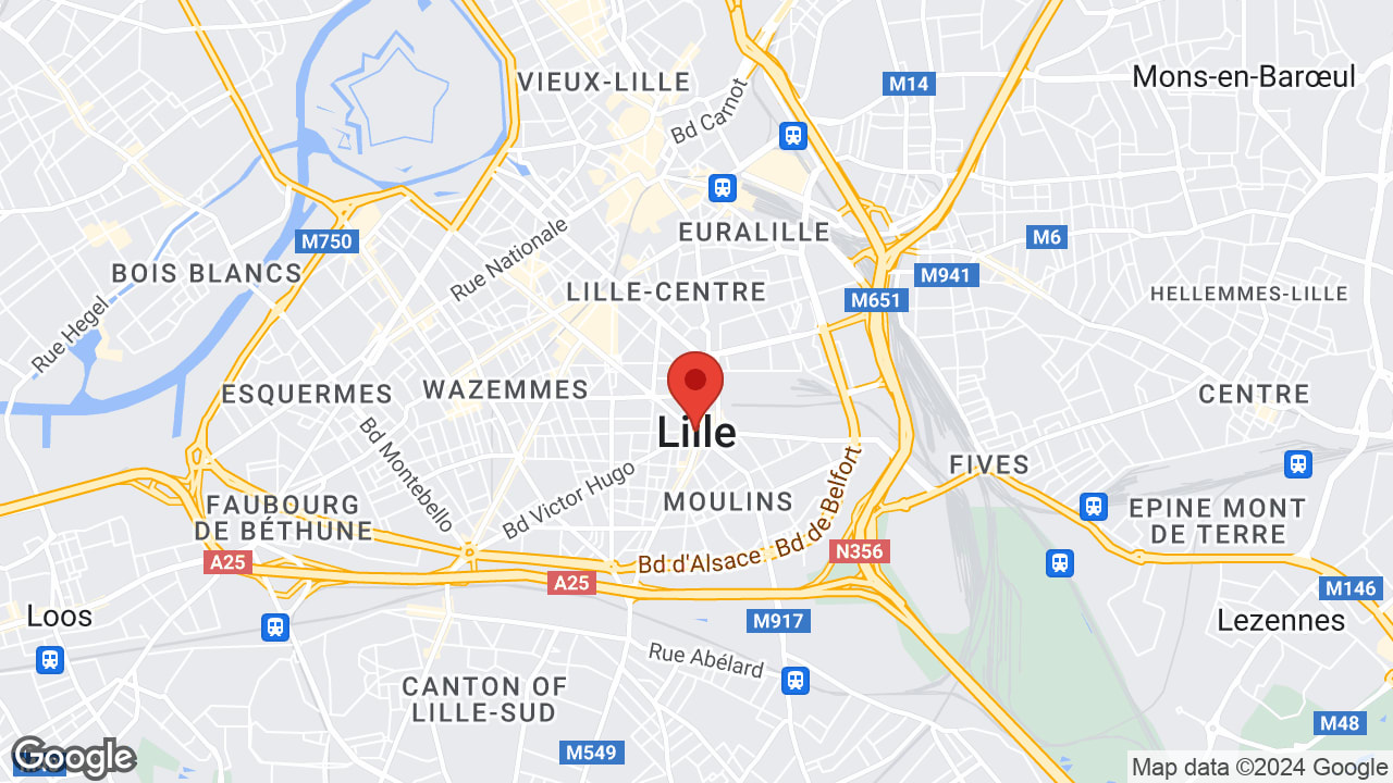 Google map