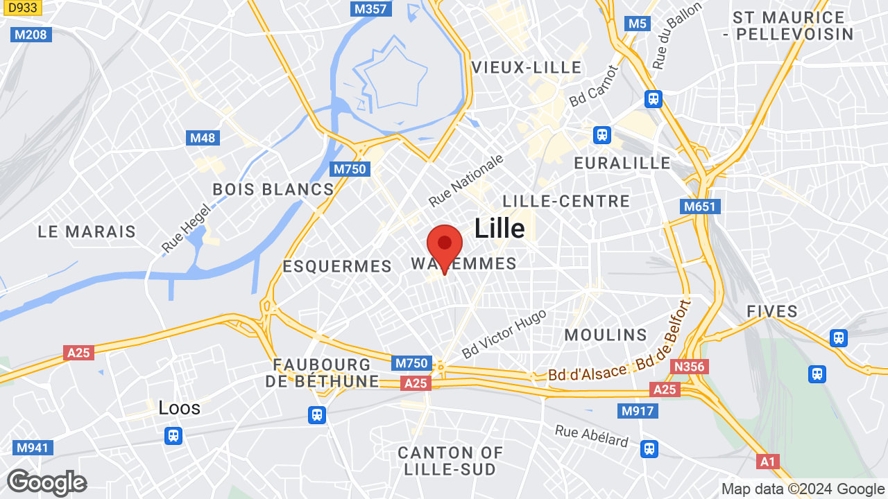 Google map