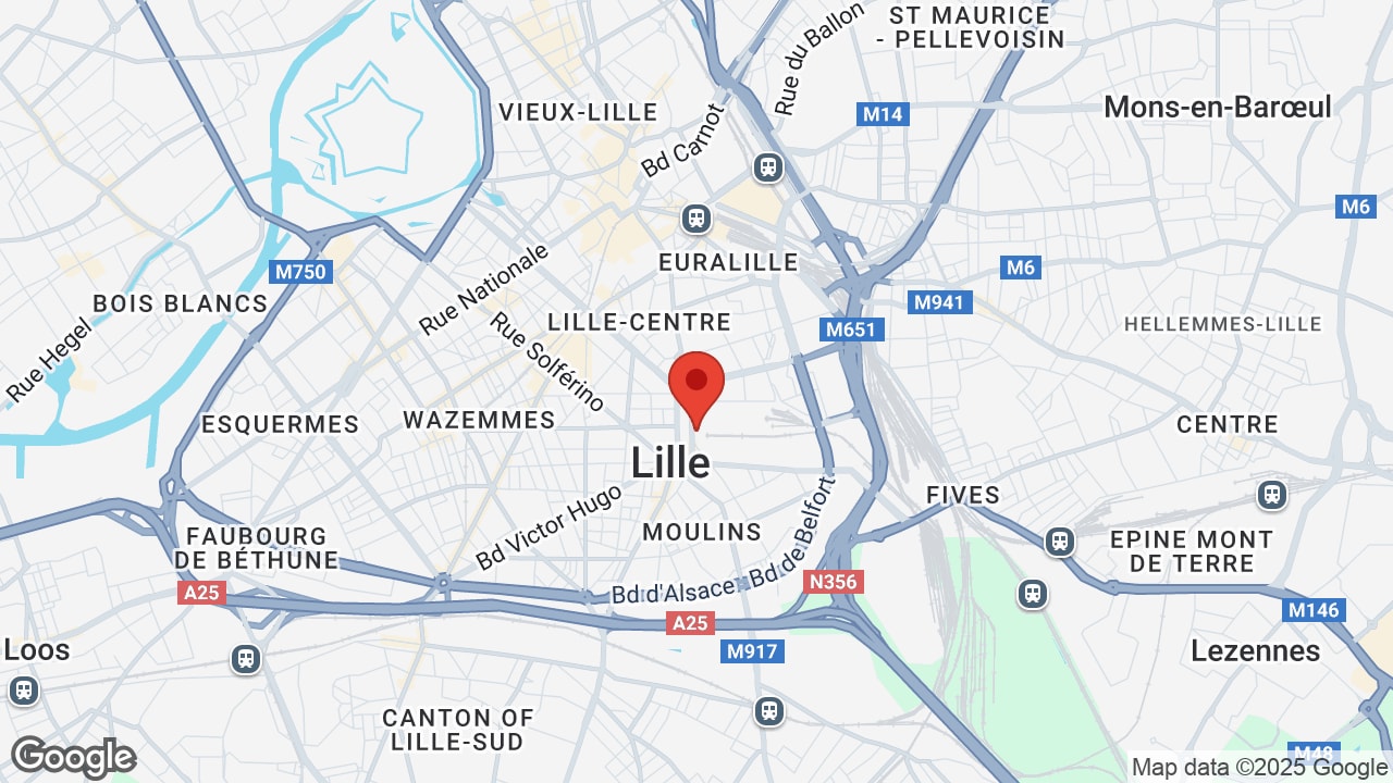 Google map
