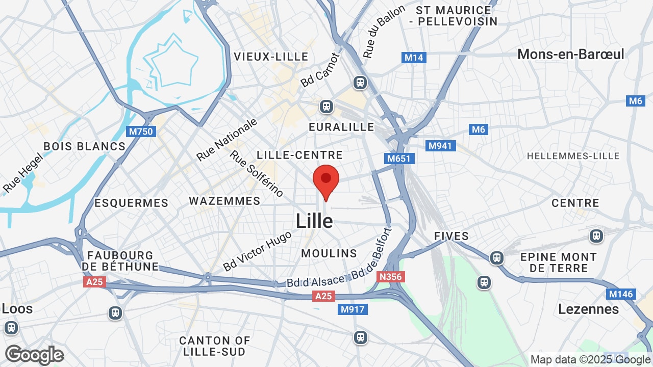 Google map