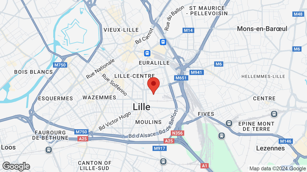 Google map