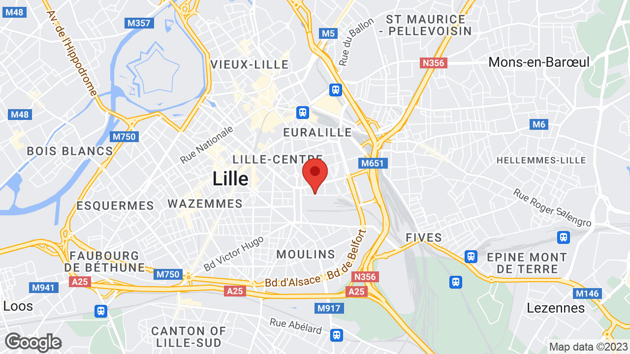 Google map