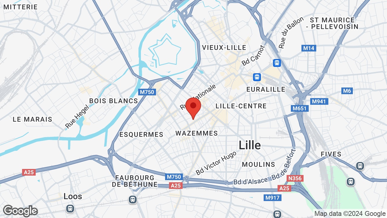 Google map