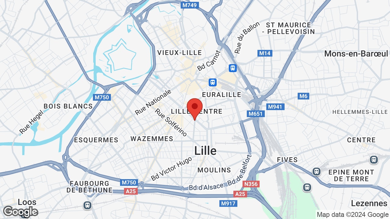 Google map