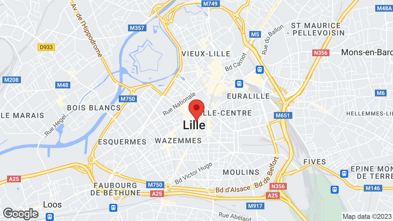 Google map