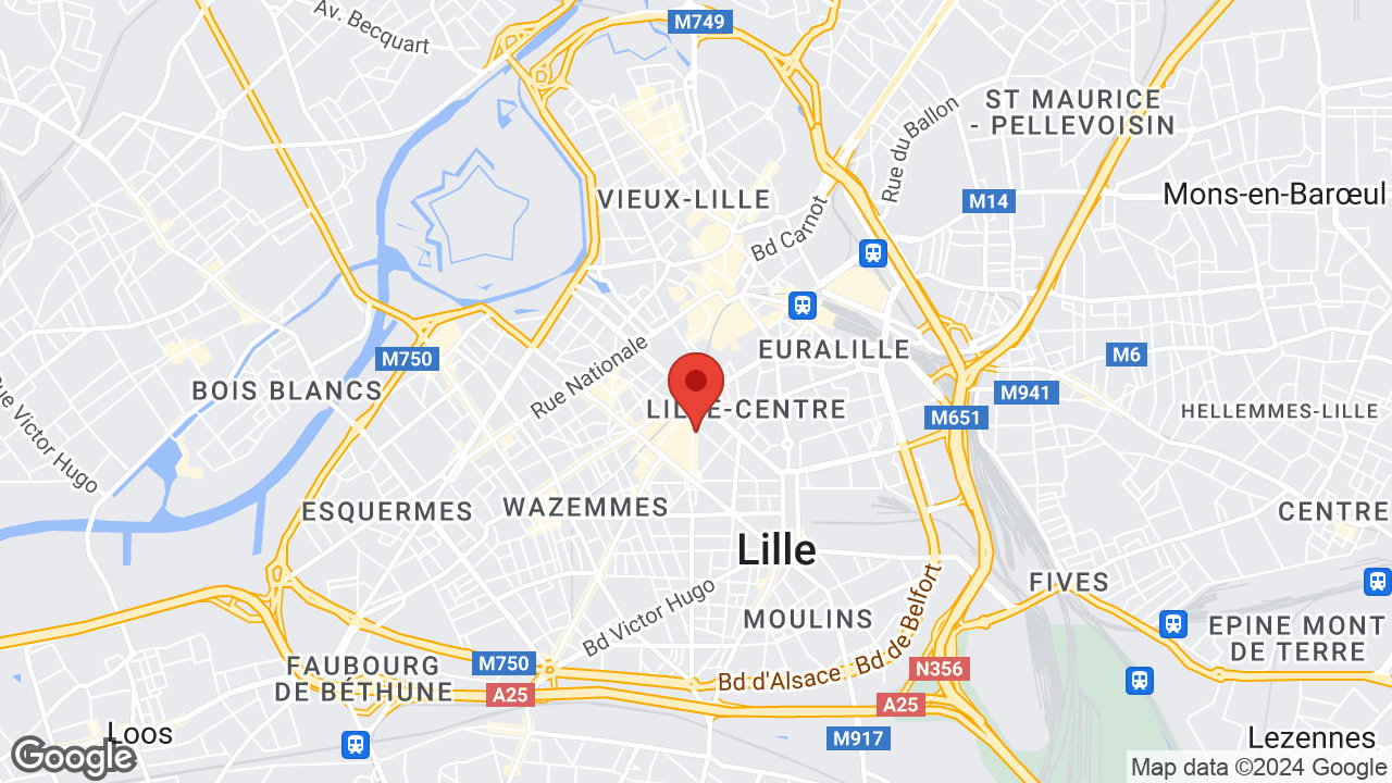 Google map