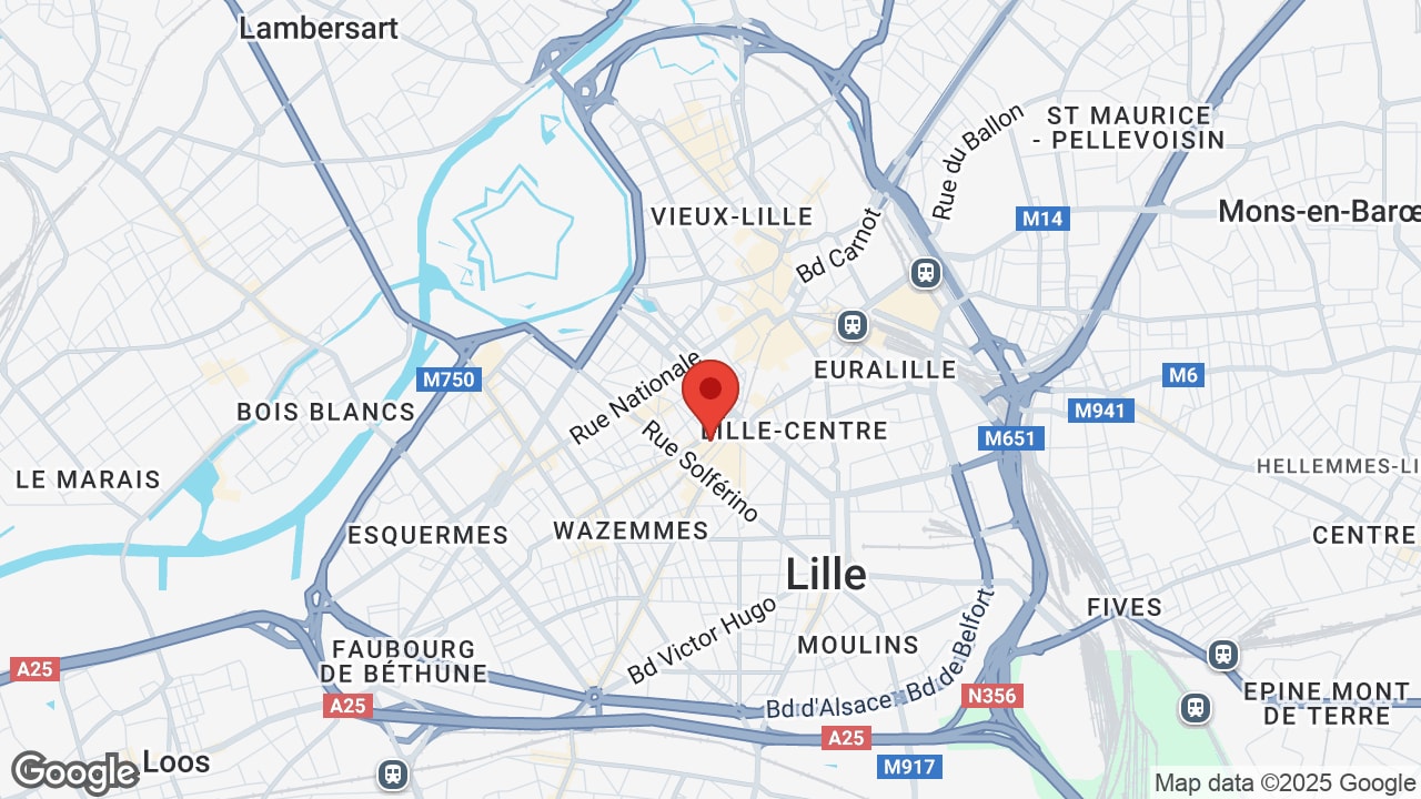 Google map