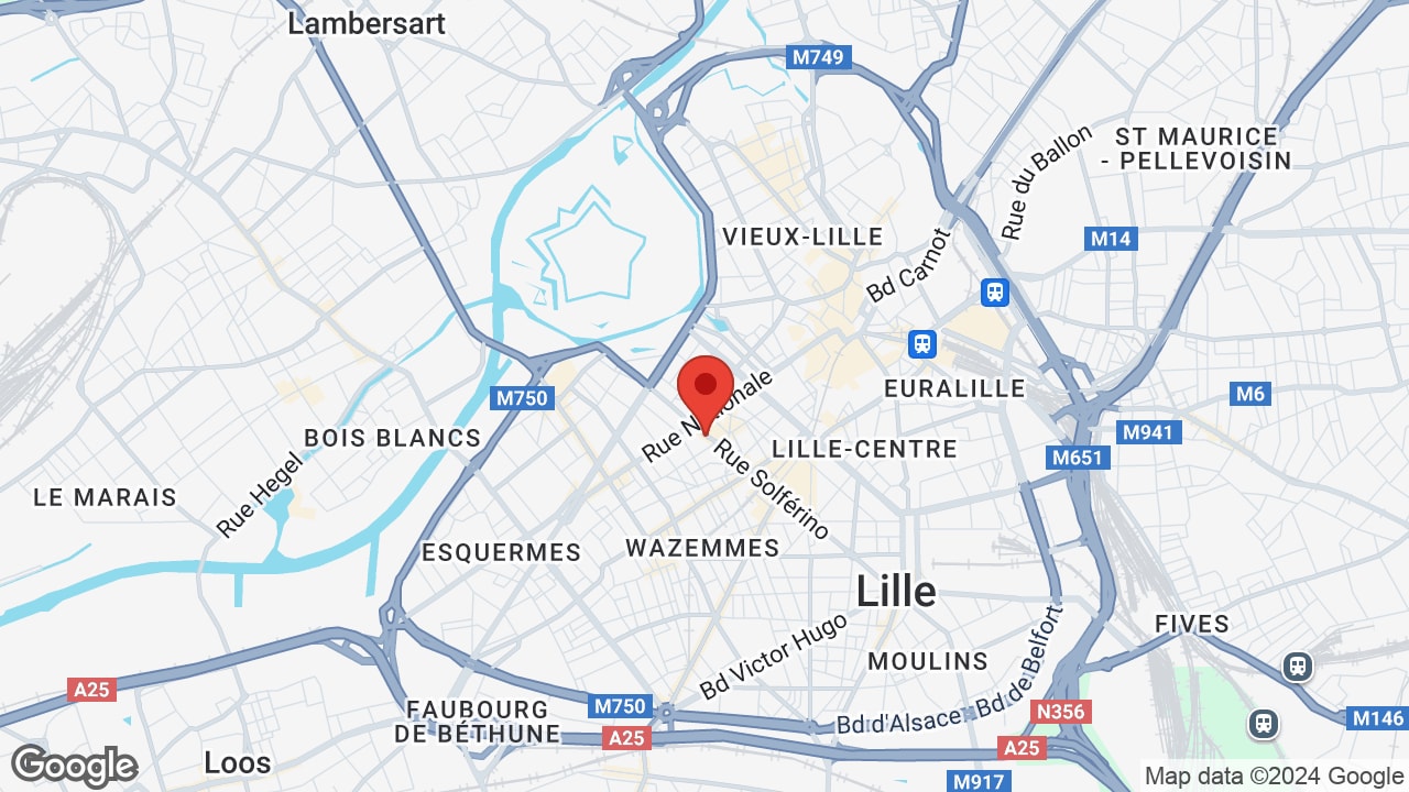 Google map