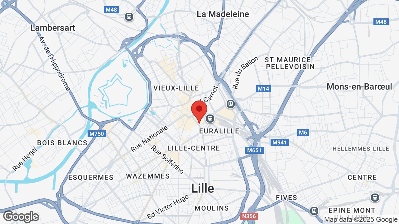 Google map