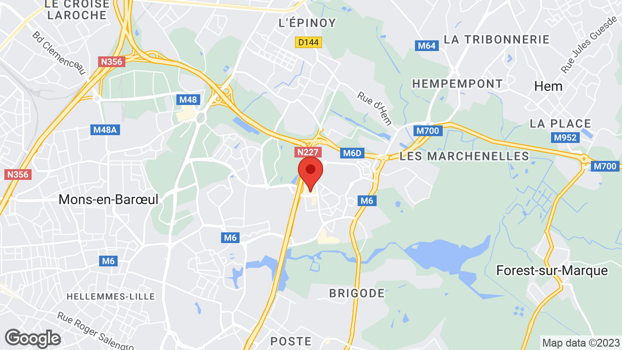 Google map