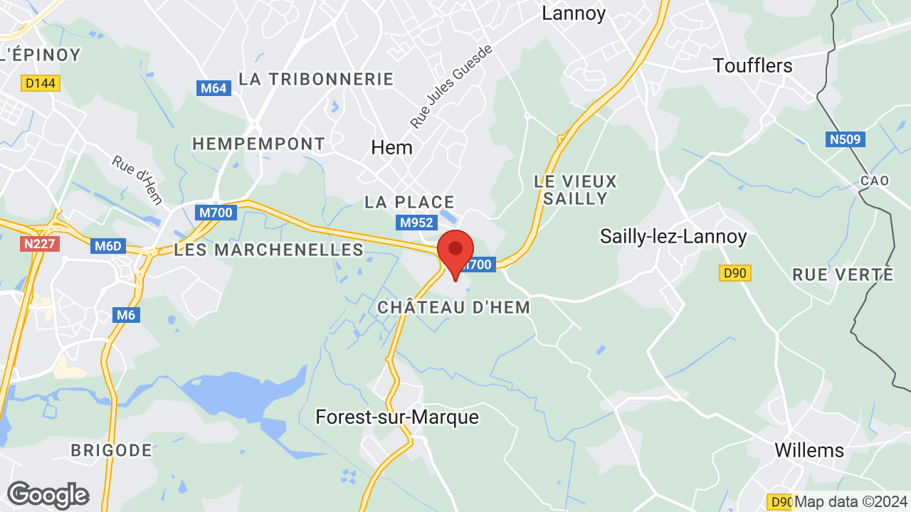 Google map