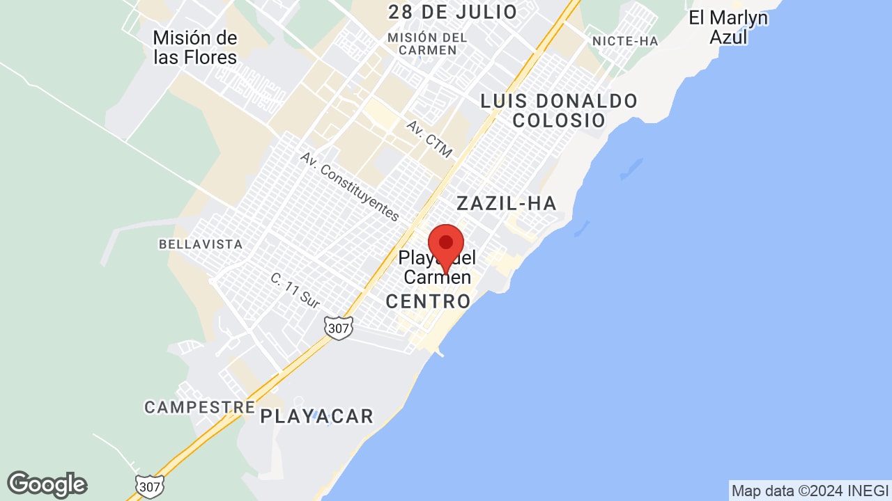 Google map