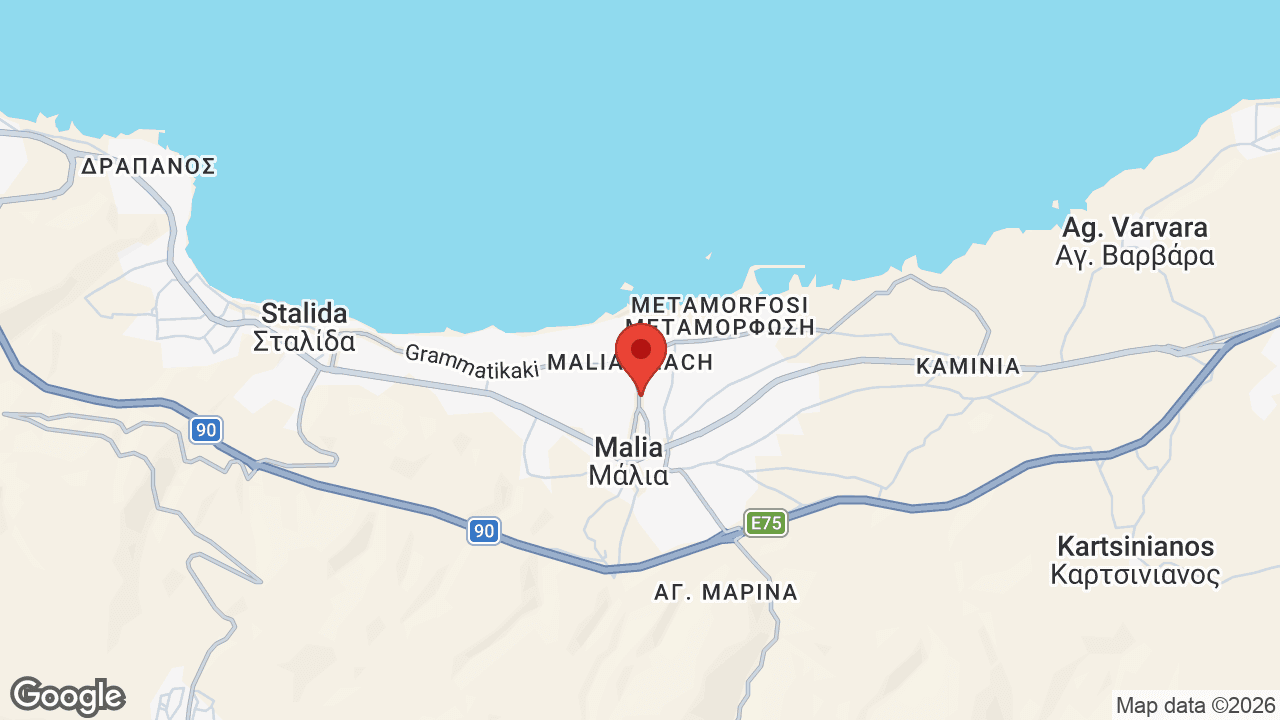Google map