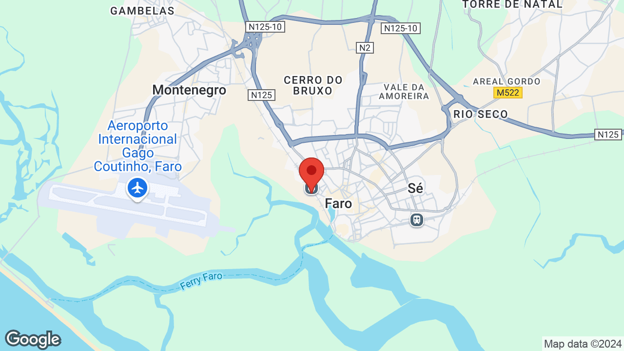 Google map
