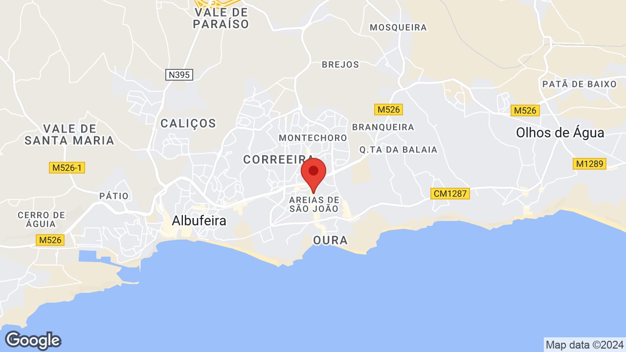 Google map
