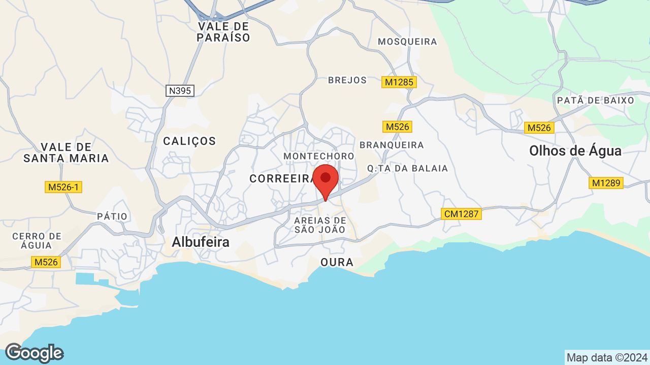 Google map