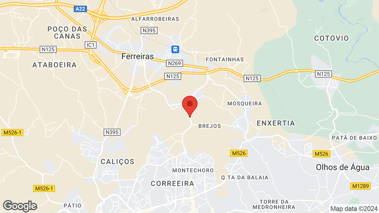 Google map